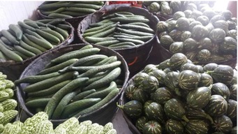 浏阳市农产品质量安全追溯网 为农产品插上“云翅膀”，开启网上销售新篇章