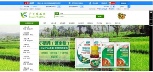 从田间到指尖 邻居的绿色农产品电商致富新经