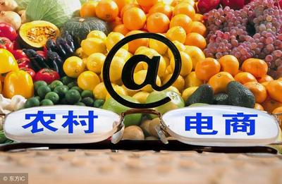 不想外出打工了？试试这5个暴利创业小项目，低成本高回报