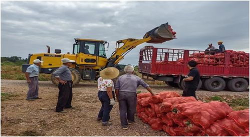 电商助力怀宁清河农产品销售 为集体经济开辟新路径
